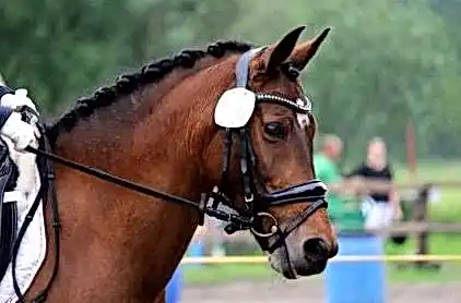 1хСлотс официальный 3c4427